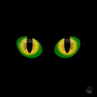 Dibujo Gorra Ojos Brasil Rejilla 5 paneles Negra