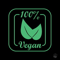 Dibujo Gorra Vegan Algodón Orgánico Negra
